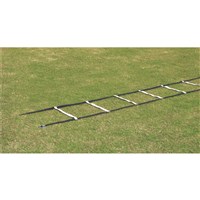 Agility Ladder-Web