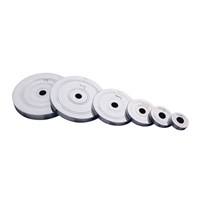 Vinex Weight Training Plates - Chrome